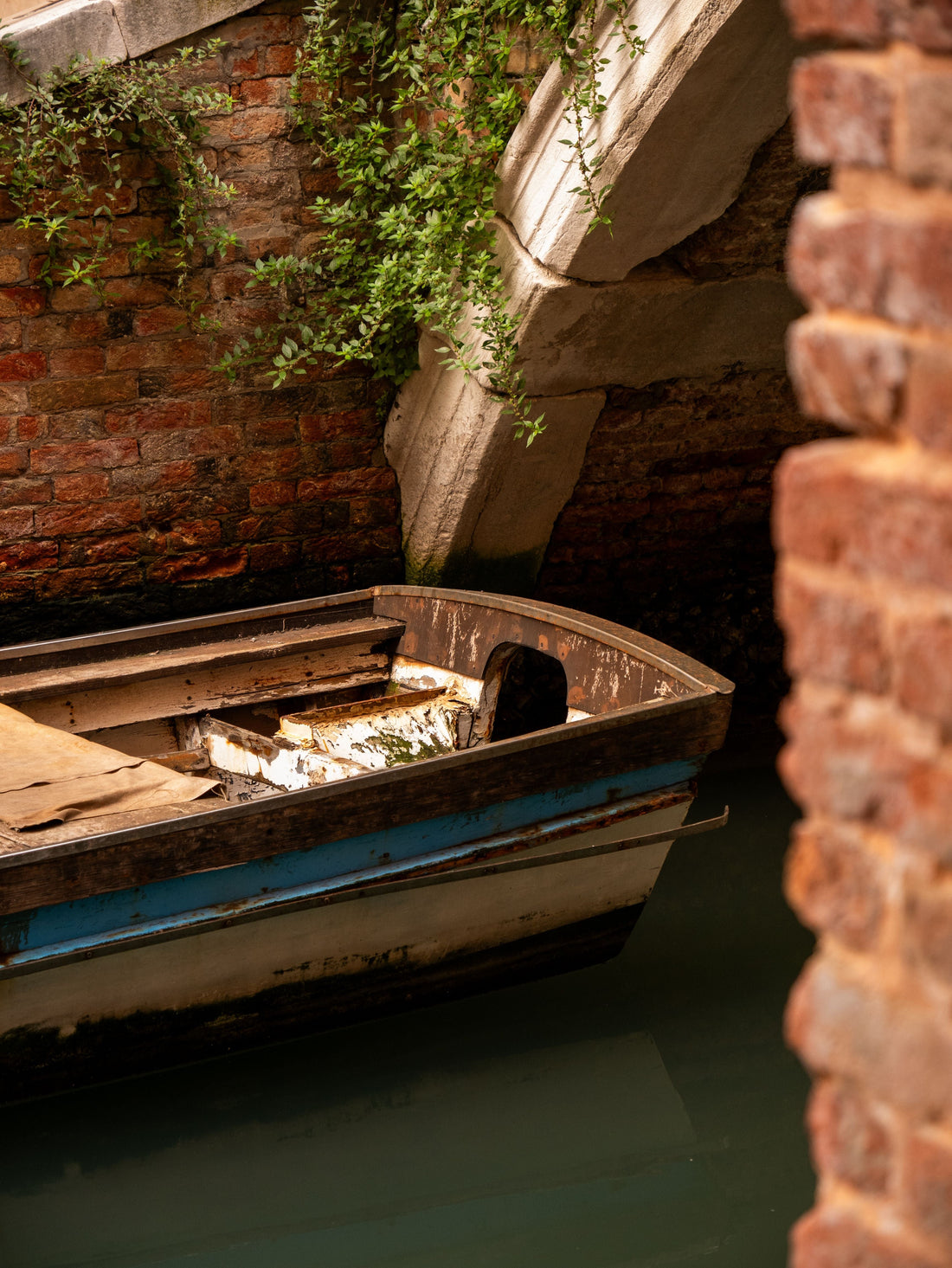 Moeche – Die besondere Delikatesse aus Venedig