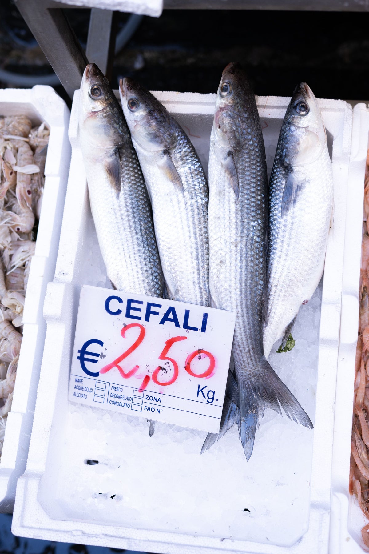 Fischmarkt in Venedig – Ein besonderer Morgen hinter der Rialto Brücke