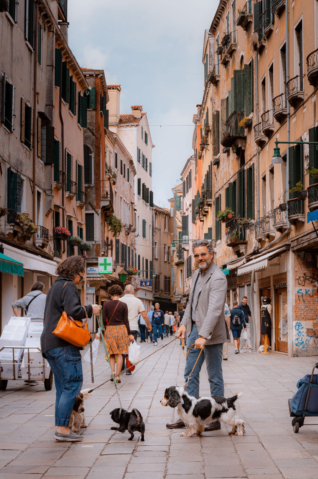 Venice with a Dog – Your Smart Guide to a Dog-Friendly Stay in Venice