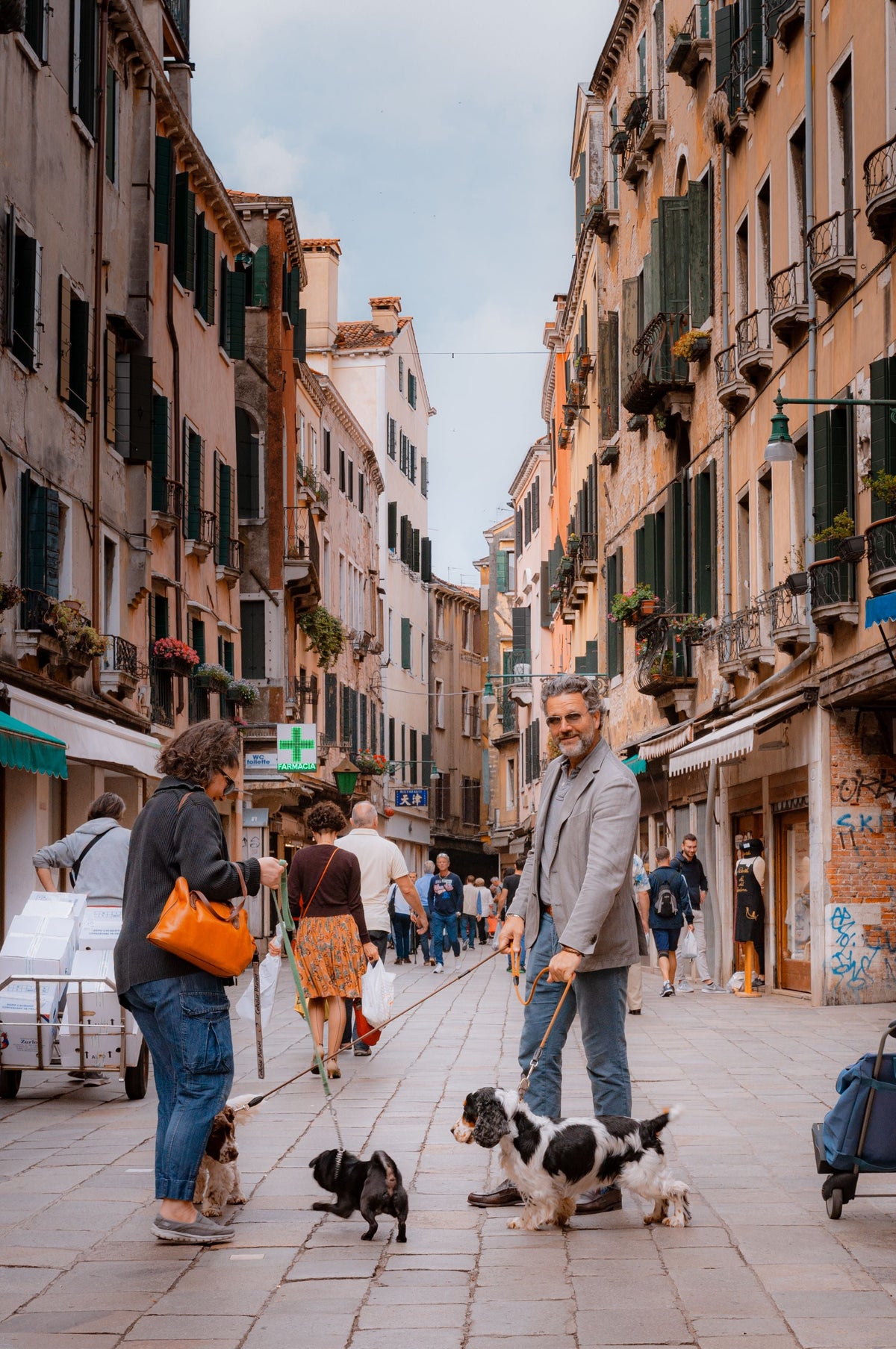 Venice with a Dog – Your Smart Guide to a Dog-Friendly Stay in Venice